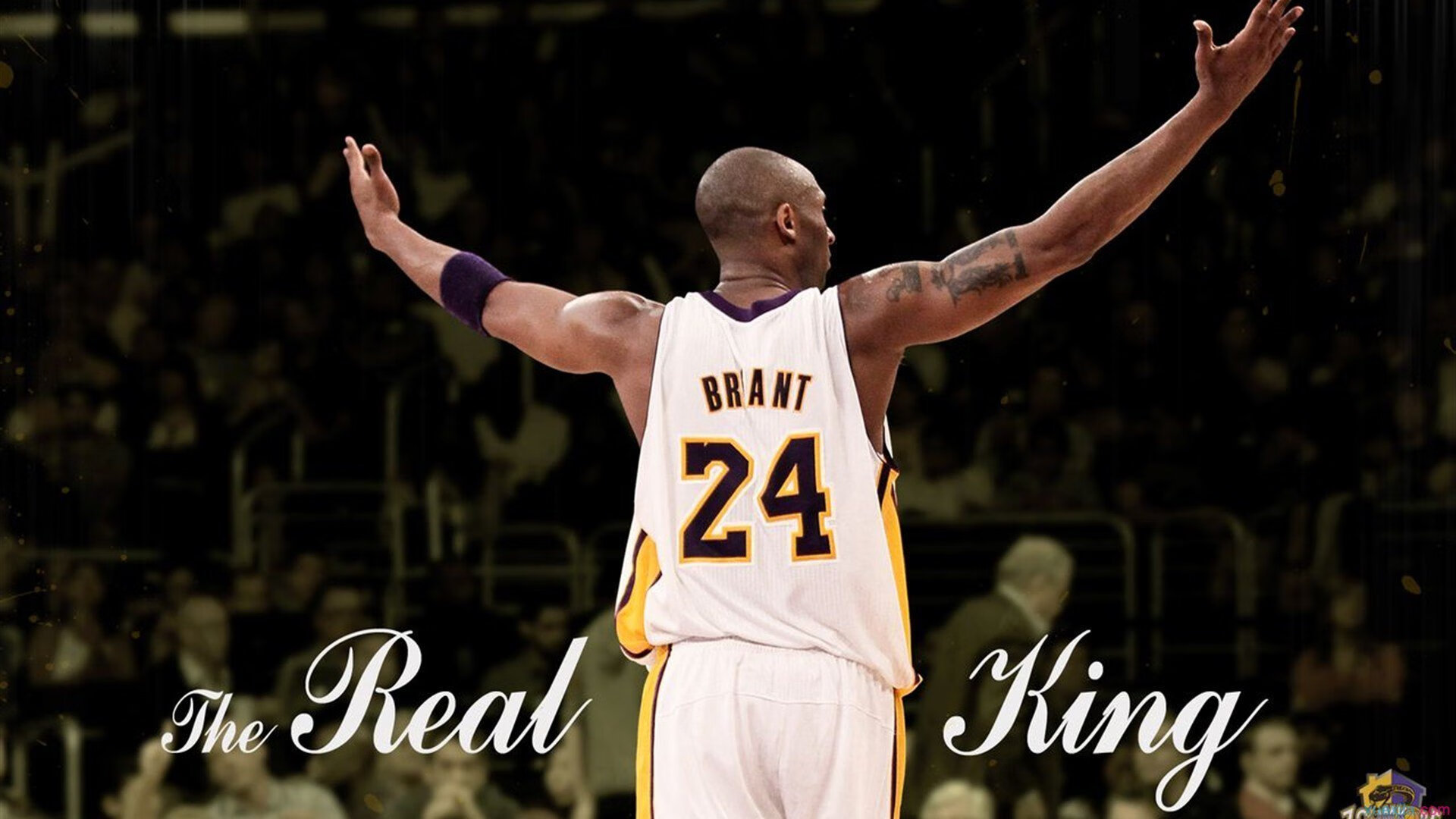 体育赛事品牌价值排行